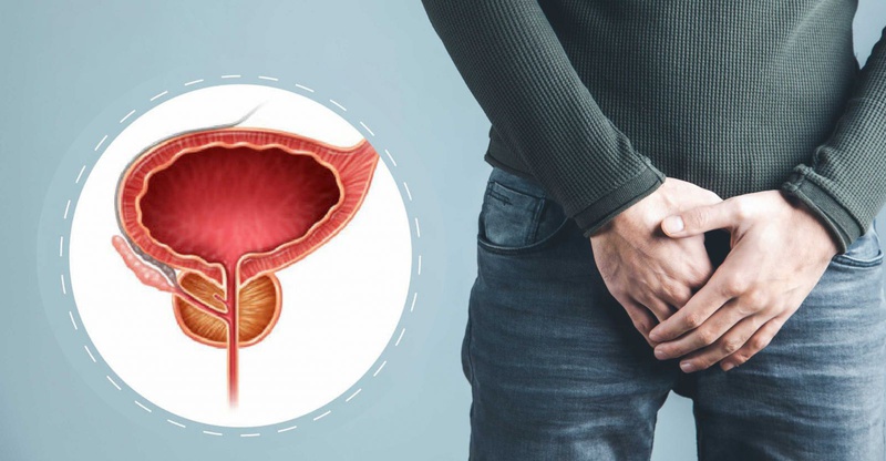 Vai trò tuyến tiền liệt đối với sức khỏe là gì?