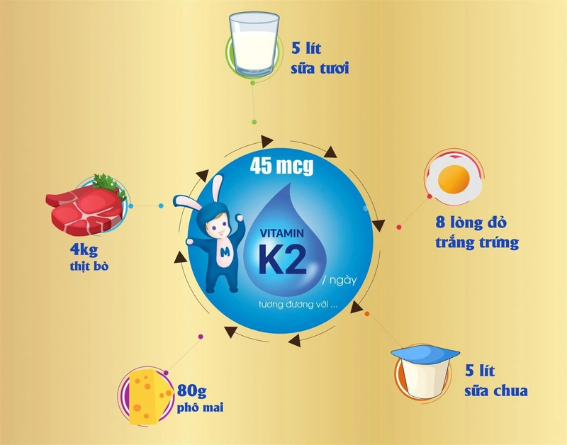 Đối với vitamin K2 MK7 thì nên bổ sung cho trẻ từ 6 tháng tuổi trở lên, với liều lượng là 45mcg mỗi ngày