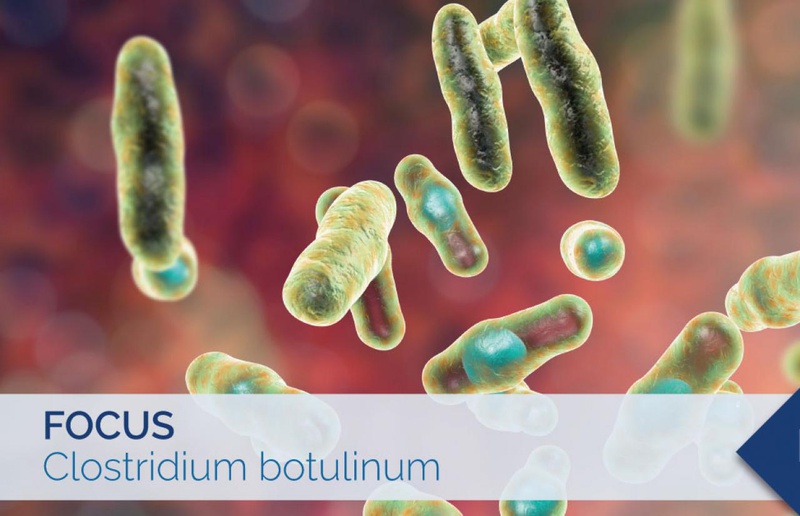 Vì sao thực phẩm muối chua ủ lâu ngày sẽ phát sinh độc tố botulinum?2