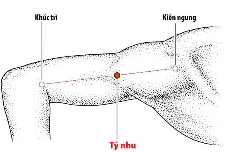 Vị trí huyệt Kiên Ngung và ứng dụng trong trị liệu1