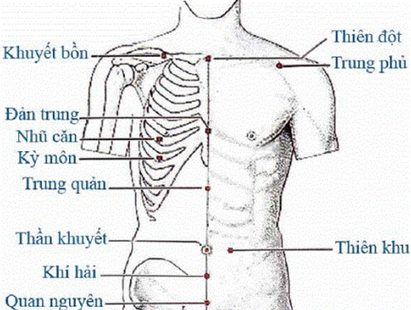 Vị trí huyệt Trung Phủ ở đâu?2
