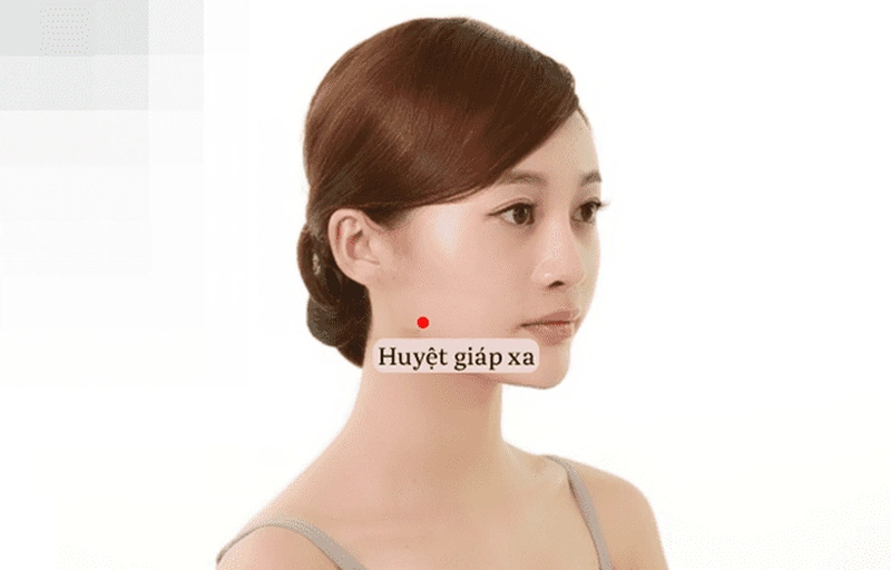 Vị trí và các cách tác động lên huyệt Giáp Xa 1