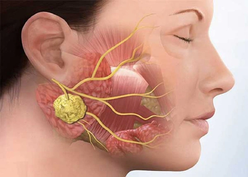 Vị trí và các cách tác động lên huyệt Giáp Xa 3