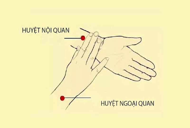 Vị trí và ứng dụng điều trị bệnh của huyệt Nội Quan1