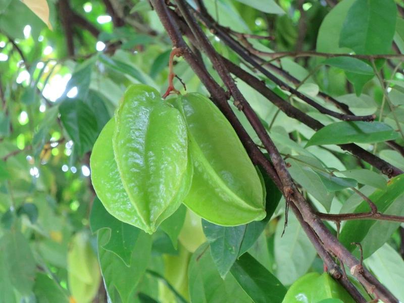 Viêm da cơ địa ở mặt 2