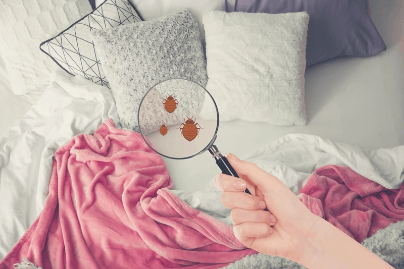 Ga gối bẩn có thể là môi trường lý tưởng cho vi khuẩn sinh sôi