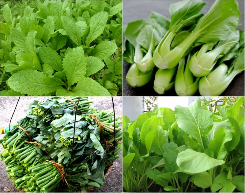 Viêm đại tràng mãn tính nên ăn gì tốt? 2
