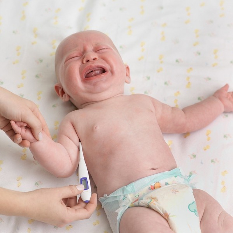 Nên làm gì để phòng bệnh viêm não Nhật Bản B vào mùa hè 1