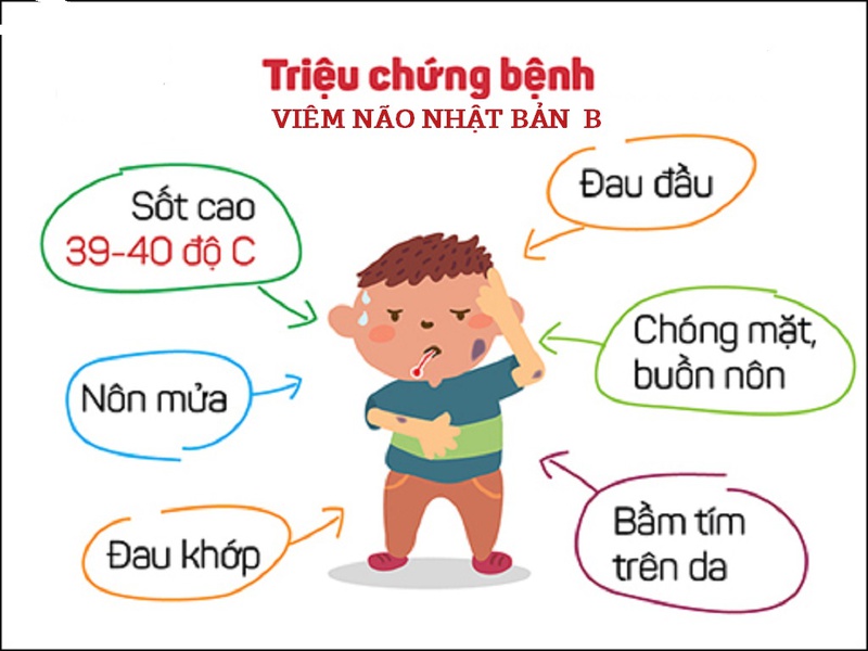 Viêm não Nhật Bản B gây nhiều nguy hại, vậy có viêm não Nhật Bản A hay không 1