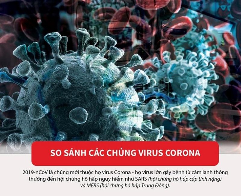 Viêm phổi cấp corona xảy ra do Virus corona - loại virus mới thuộc chủng corona