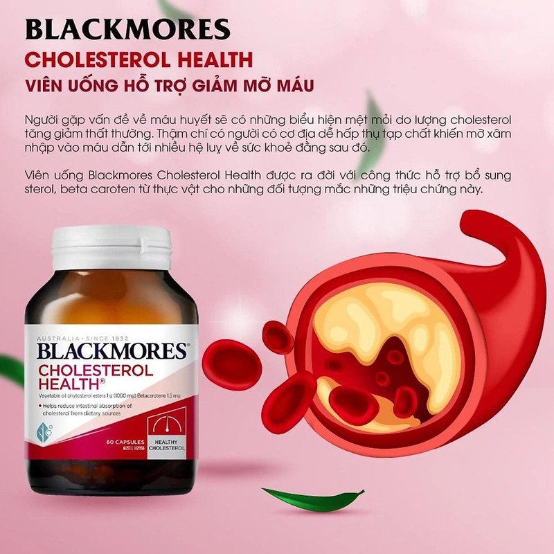 Viên uống Blackmores Cholesterol Health có tốt không, mua ở đâu chính hãng? 2