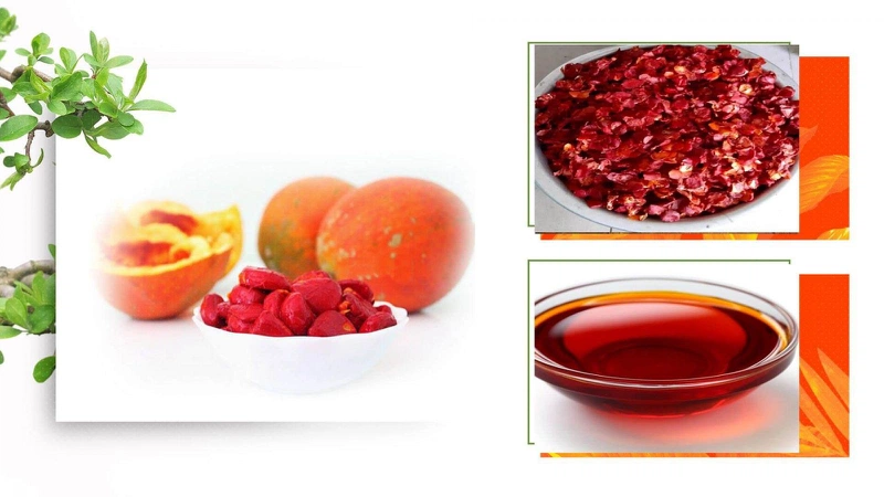 Dầu gấc có nhiều công dụng với sức khỏe và làm đẹp