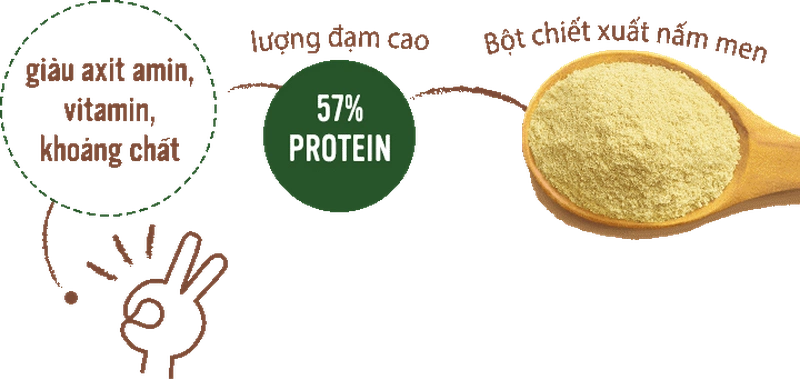 Viên Uống Premom Gold Jpanwell Bổ Sung Dưỡng Chất & Vitamin Cần Thiết Cho Thai Kỳ Khỏe Mạnh 3