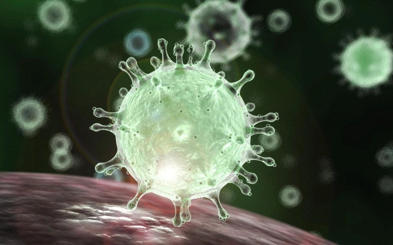 Virus corona sẽ bị "hủy diệt" trong điều kiện môi trường nào? 1