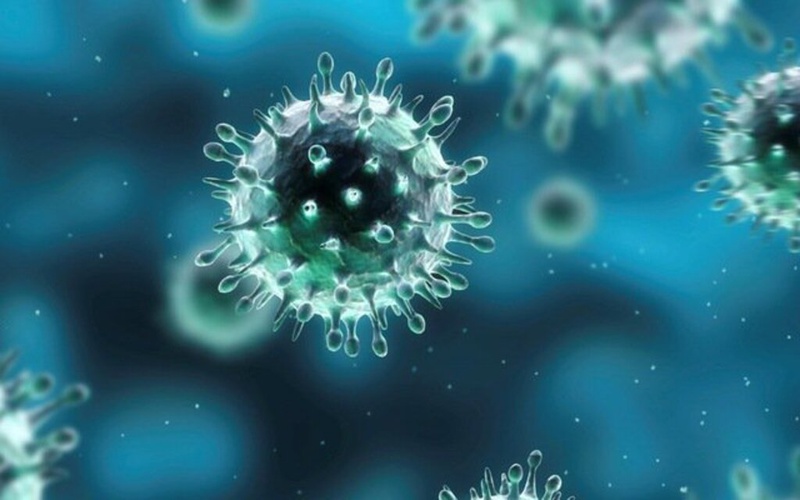 Virus cúm là gì? Những bài học rút ra từ đại dịch cúm Tây Ban Nha 1918 2