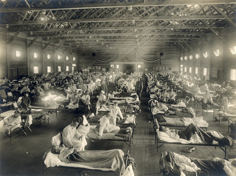 Virus cúm là gì? Những bài học rút ra từ đại dịch cúm Tây Ban Nha 1918 4