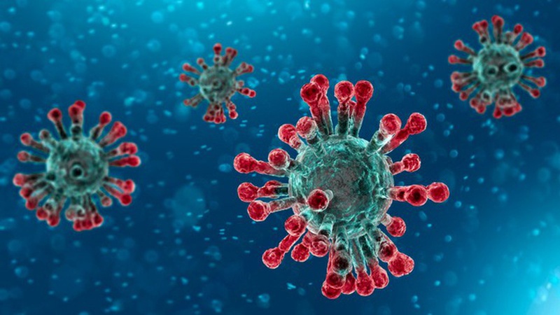 Virus H1N1 bùng lên giữa dịch bệnh do COVID-19