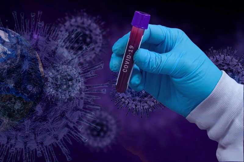 Virus SARS-CoV-2 có khả năng bị một kháng thể vô hiệu hóa 2