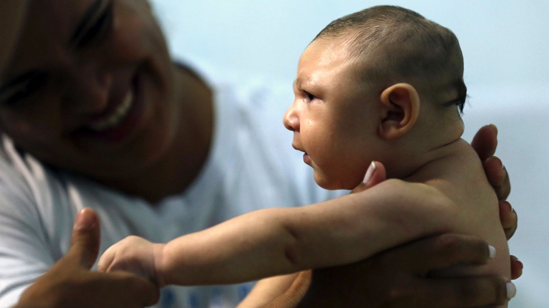 Virus Zika nguy hiểm như thế nào và cách phòng tránh virus zika 2