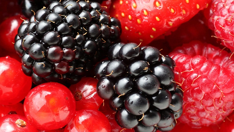 Thống kê hàm lượng các vitamin có trong trái cây thông dụng 8