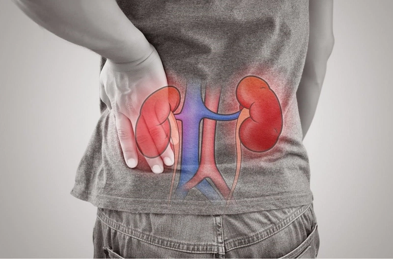Vỏ sầu riêng có ăn được không? Ăn vỏ sầu riêng có lợi ích gì? 2