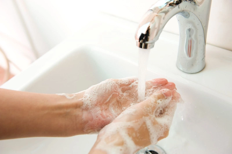 Vòng đời của sán lá gan có đặc điểm gì? Triệu chứng khi nhiễm sán lá gan3