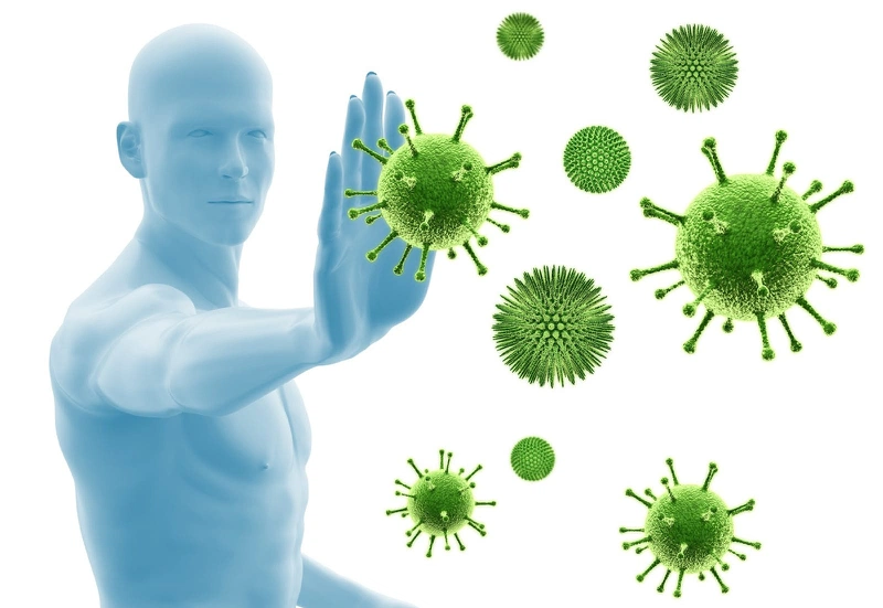 VT Koredulin là gì? VT Koredulin có những công dụng gì? 2