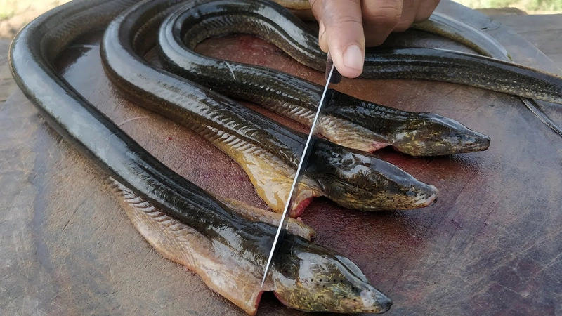 xăm môi ăn lươn được không 1