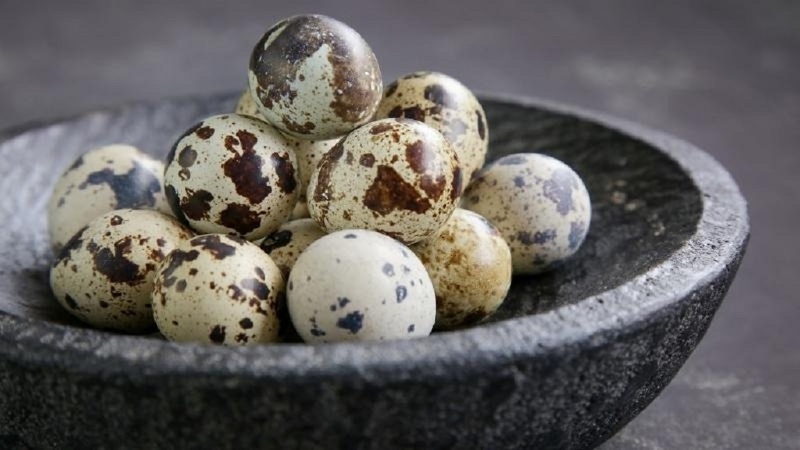 Xăm môi kiêng trứng bao lâu Ngoài trứng thì có thể ăn thực phẩm nào  Nhà  thuốc FPT Long Châu