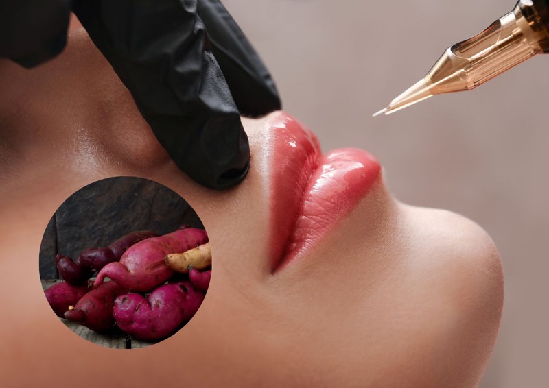 Xăm môi có ăn khoai lang được không   Kinh Nghiệm Làm Đẹp