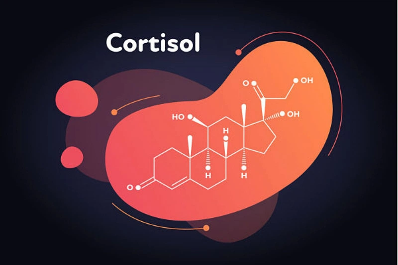 Nồng độ Cortisol bình thường là 138 - 689 nmol/L