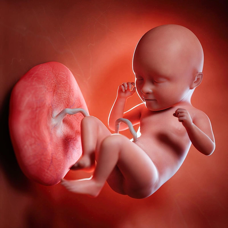xét nghiệm dị tật thai nhi ở tuần thứ mấy cho kết quả chính xác nhất