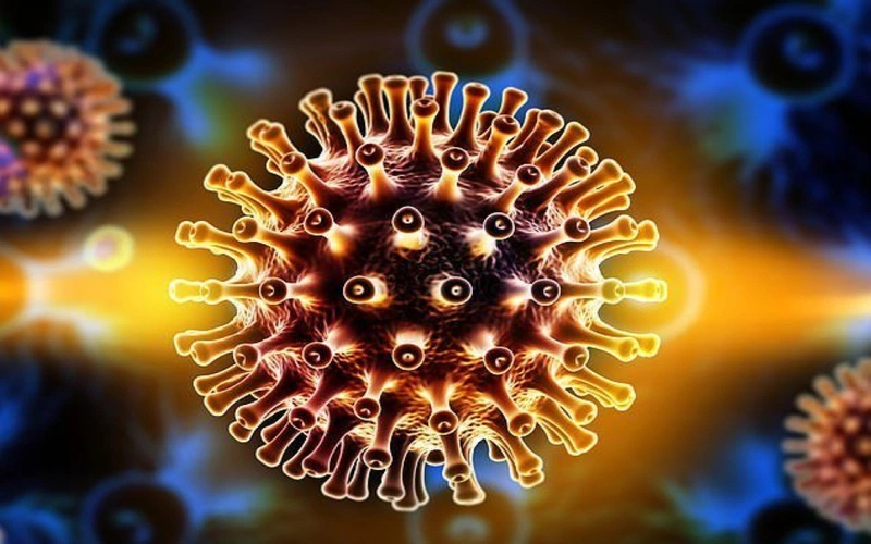 Xét nghiệm HIV được thực hiện như thế nào? Xét nghiệm HIV bao nhiêu tiền? 1