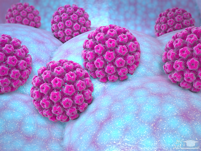 Xét nghiệm HPV ở nam giới và những thông tin cần biết
