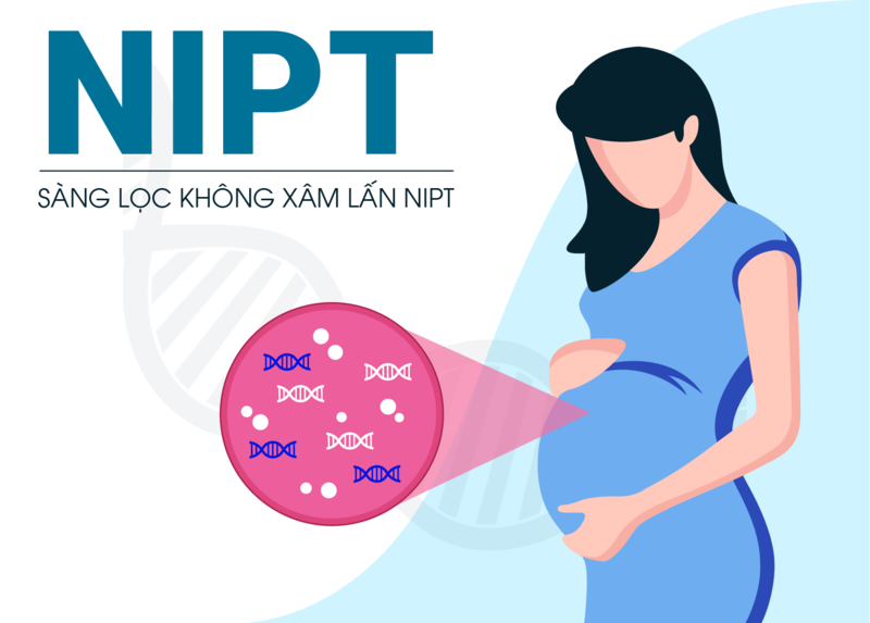 Kết quả xét nghiệm NIPT và những điều mẹ bầu cần biết 1
