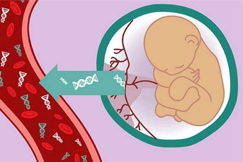 Xét nghiệm nipt từ tuần bao nhiêu là tốt nhất? 1