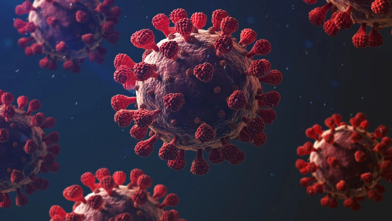 Xịt mũi kháng virus Viraleze tạo nên một hàng rào bảo vệ để vô hiệu hóa virus