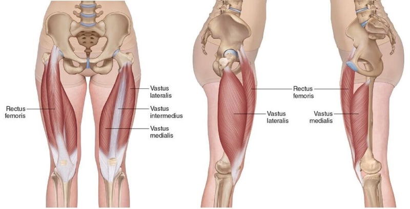 Front Squat là gì? Cách tập Front Squat đúng chuẩn mà không phải ai cũng biết 2