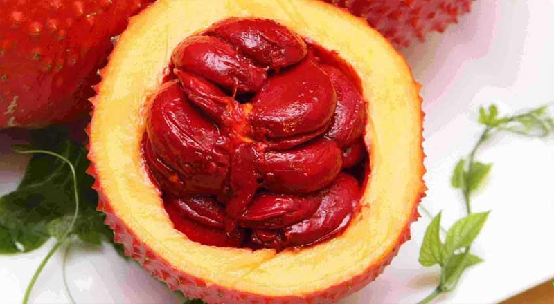 Hướng dẫn cách dùng hạt gấc chữa viêm xoang cực đơn giản 2