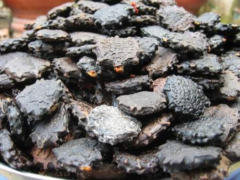 Hướng dẫn cách dùng hạt gấc chữa viêm xoang cực đơn giản 3