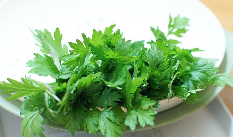 Gai cột sống uống cây gì để nhanh chóng đẩy lùi các cơn đau nhức2