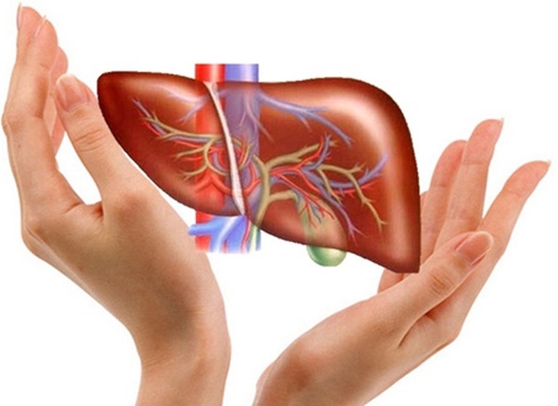 Khám phá công dụng mát gan của viên sủi thanh nhiệt Livecool1