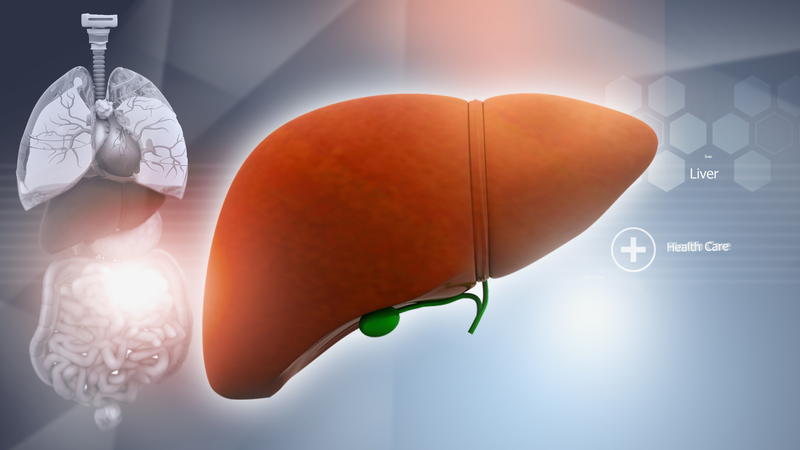 Bệnh gan nhiễm mỡ: Triệu chứng, nguyên nhân và cách phòng bệnh 1