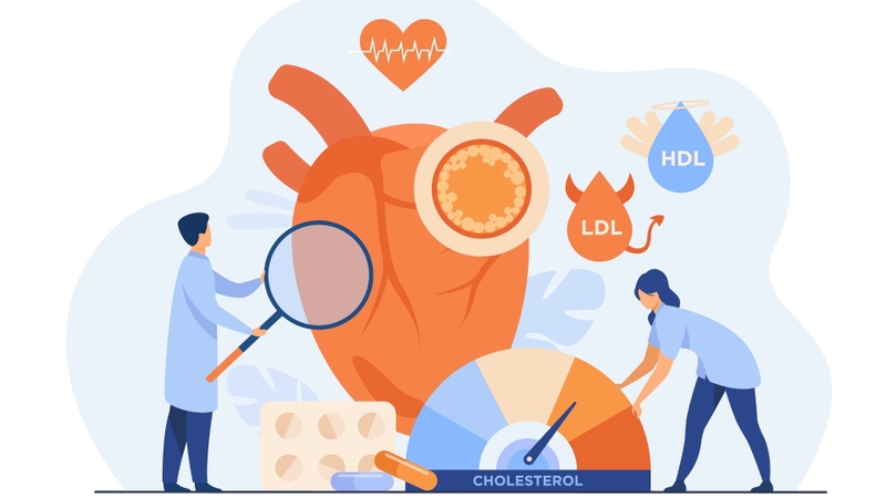 Gan nhiễm mỡ do rối loạn chuyển hóa: Nguyên nhân gây bệnh, dấu hiệu nhận biết sớm 3