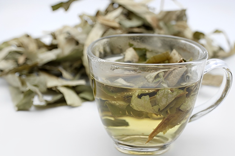 Bệnh gan nhiễm mỡ uống thuốc gì tốt