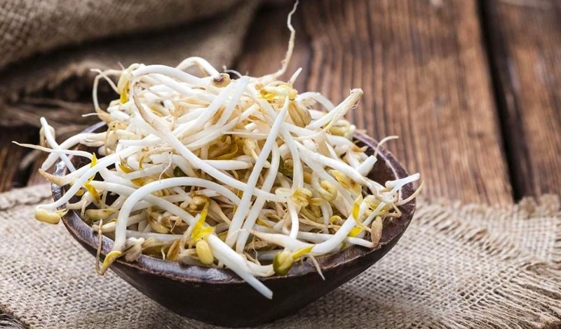 Gan xào giá đỗ có độc không? Lưu ý khi ăn giá đỗ và gan heo 2