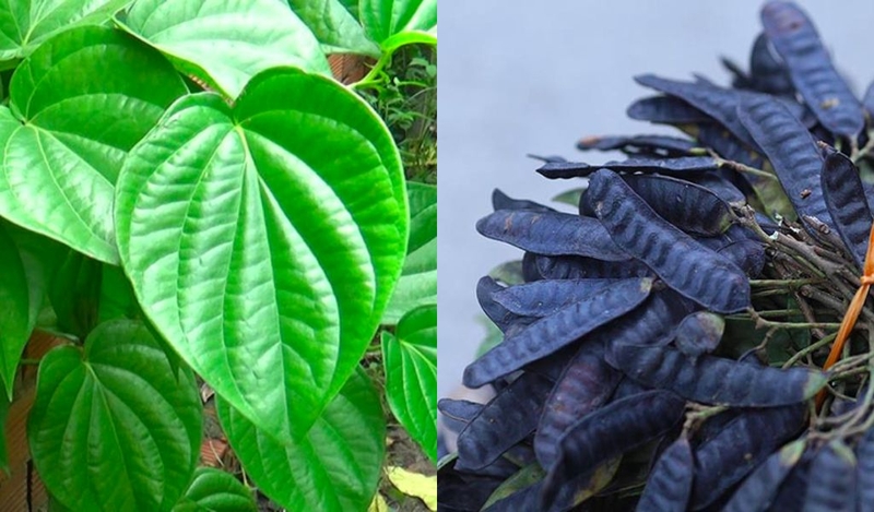 Gàu mảng là gì? Nguyên nhân và cách trị gàu mảng? 2