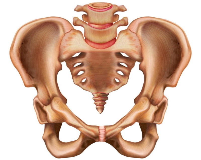 Gãy xương chậu ăn gì nhanh hồi phục&nbsp;1