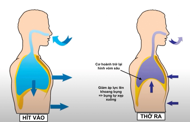 Gãy xương chậu bao lâu thì lành và đi lại được 3