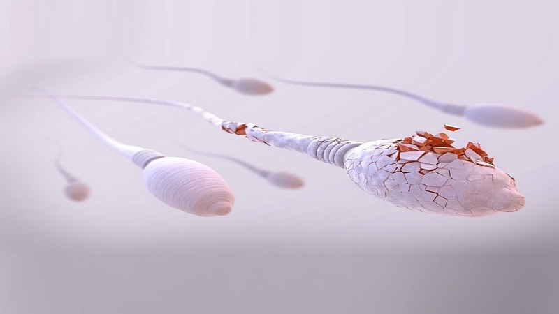 Một số loại gel bôi trơn có chứa chất diệt tinh trùng